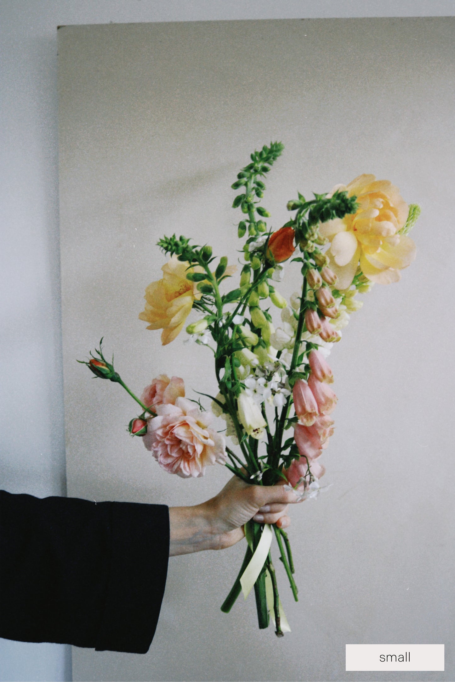 Person holding a bouquet of flowers against a plain background